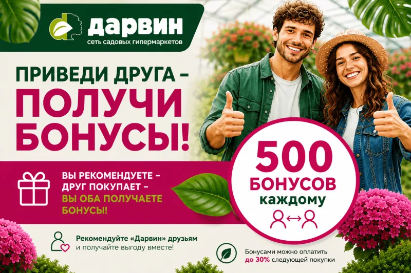 Приведи друга — получи 500 бонусов