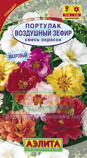 Семена цветов портулак Воздушный зефир смесь окрасок ц/п 0,1г Аэлита 