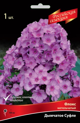 Флокс метельчатый "Российская селекция" Дымчатое Суфле I 1шт Поиск 