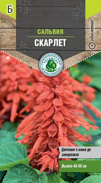 Семена Tim/цветы сальвия Скарлет 0,1г 