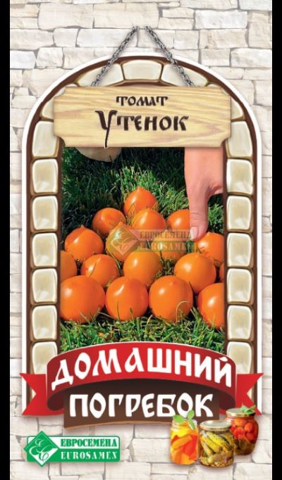 ОсновноеИзображение