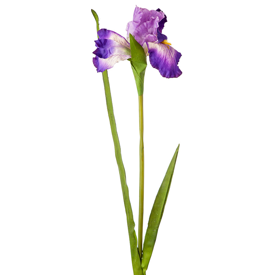 Ирис фиолетовый 95см по цене 