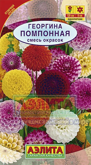 Семена Георгина помпонная, смесь окрасок 0,3 г Аэлита 