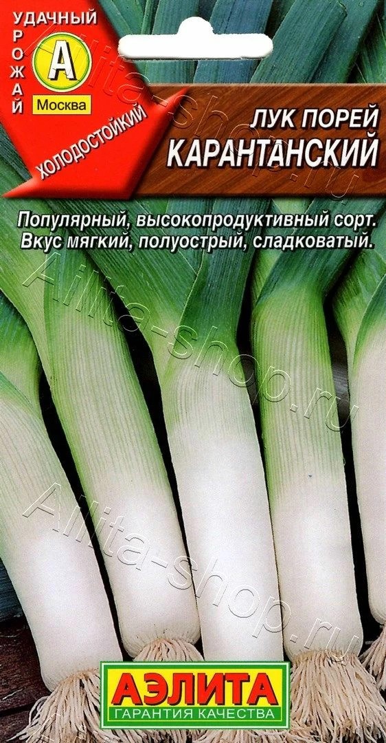 Семена Лук порей Карантанский 0,5г Лидер Аэлита 