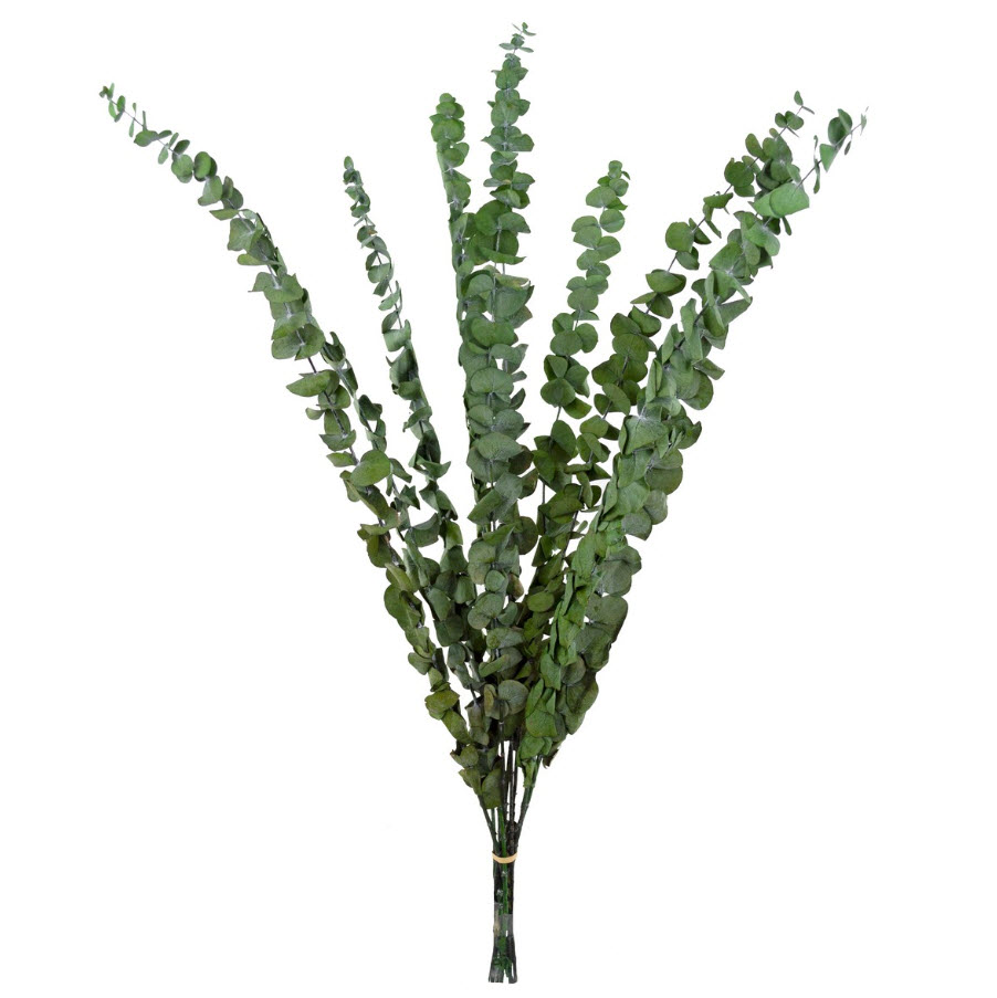 Цветок искусственный Эвкалипт набор 10шт 60см, зеленый по цене 