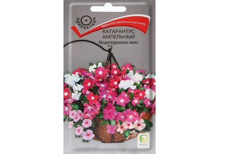Семена Катарантус ампельный Медитерранеан Микс 10 шт  Поиск 