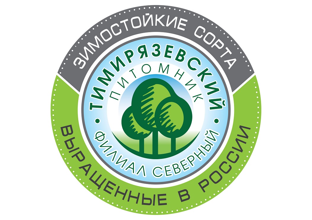 Крыжовник Хинномаки Грин зеленоплодный в коробке Tim 