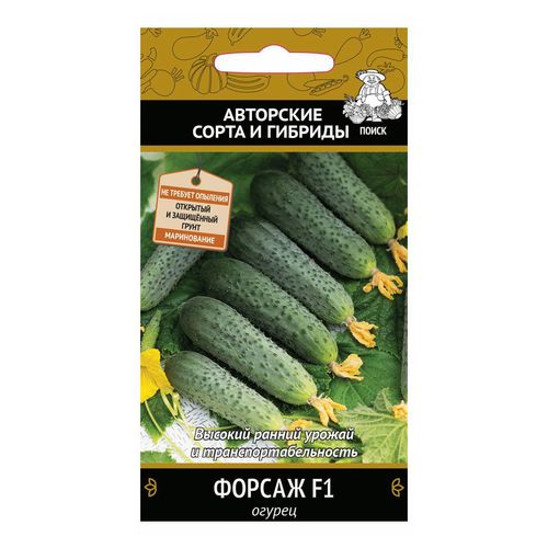 Семена Огурец партенокарпический Форсаж 12 шт, Поиск 
