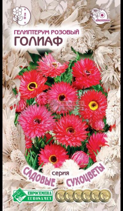 ОсновноеИзображение