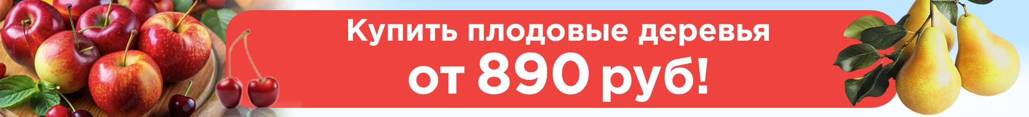 Плодовые деревья