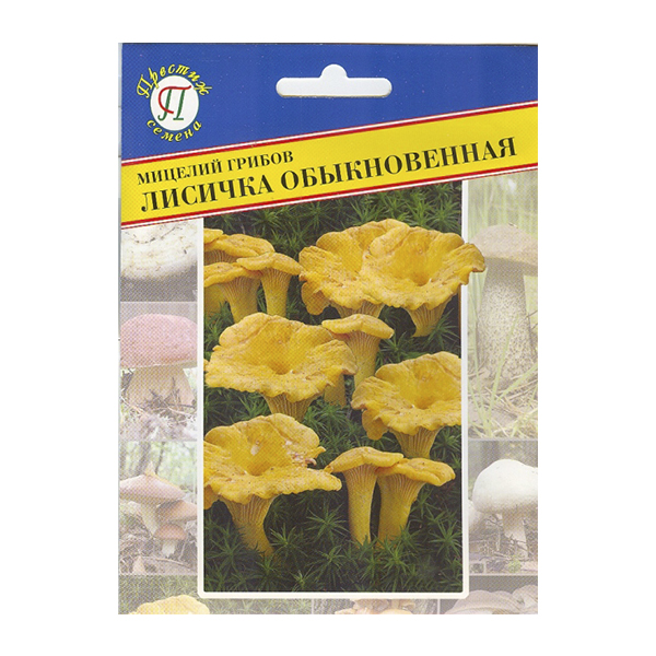 Мицелий Лисичка обыкновенная 50 мл Престиж 