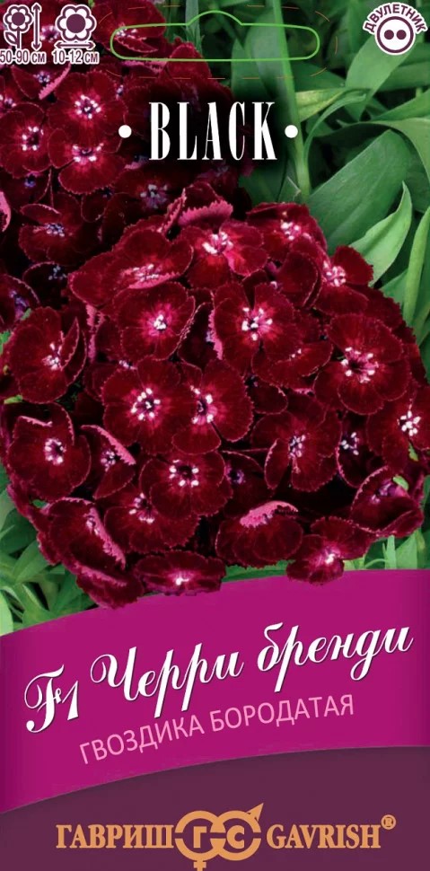 Семена Гвоздика бородатая турецкая Черри бренди F1 4 шт. пробирка Гавриш 