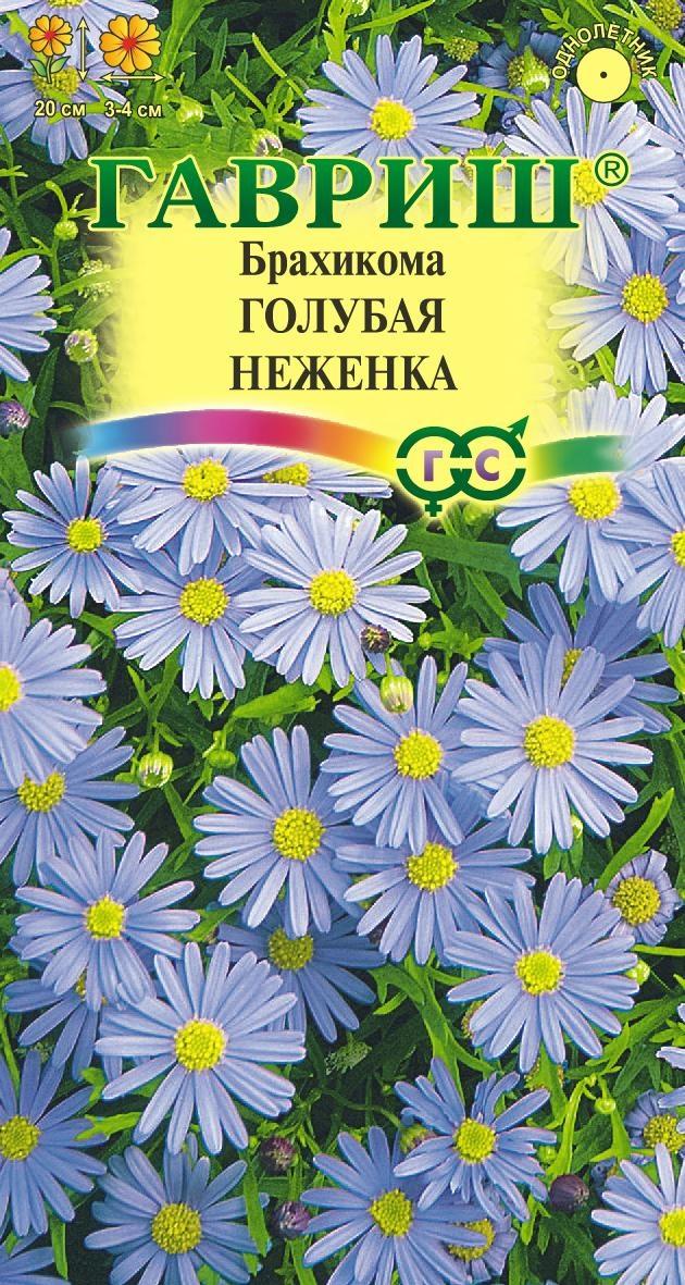 Семена брахикома Голубая неженка 0,02 г Гавриш 