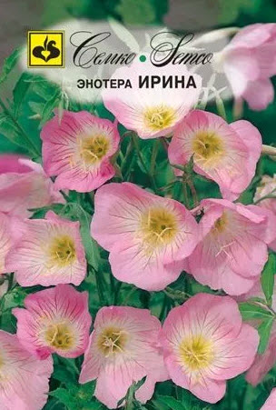 Семена Энотера Ирина 0,10 г Семко 