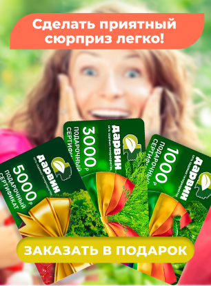 Подарочные сертификаты