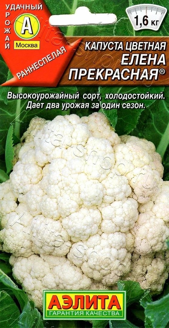 Семена Капуста цветная Елена Прекрасная 0,3г Аэлита 