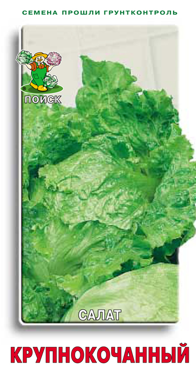 Основное изображение