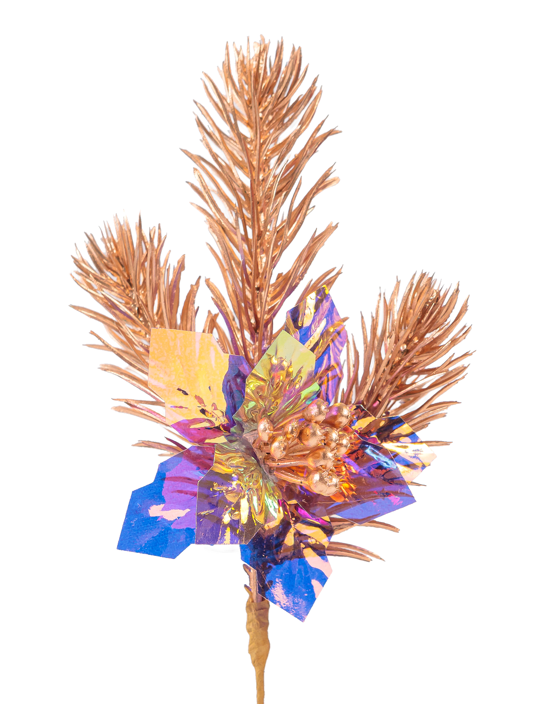 ОсновноеИзображение