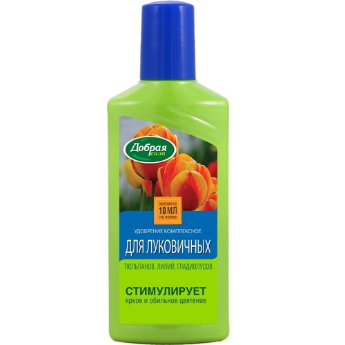 ОсновноеИзображение