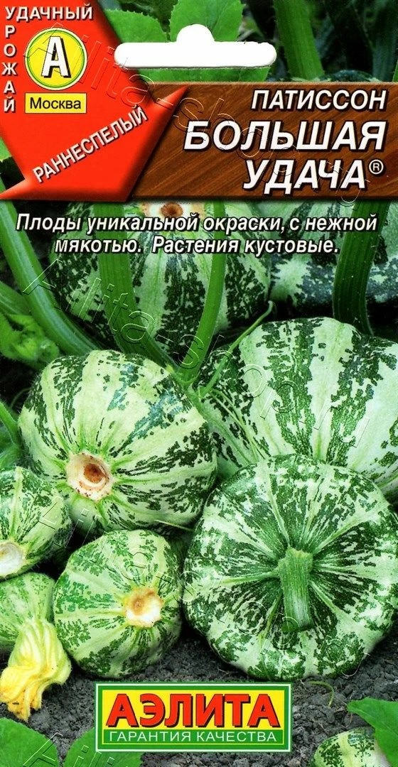 Семена Патиссон Большая удача 1г Аэлита 