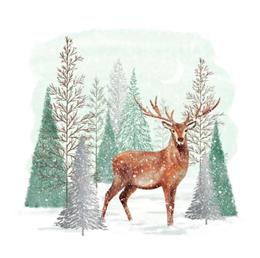 Салфетки бумажные Лесной олень 33х33см 3-х слойные 20л арт.25106 по цене 