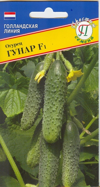 Семена Огурец патернокарпический Гуннар F1 5 шт, Престиж 