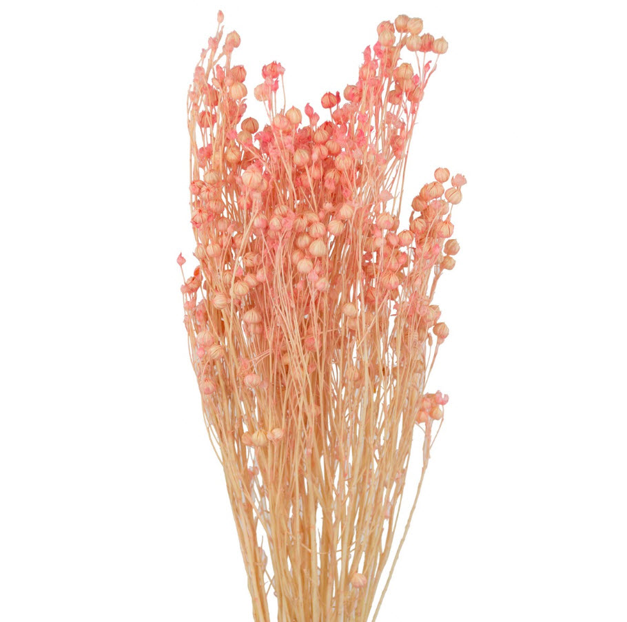 Сухоцветы Лен набор 50гр 60см, розовый по цене 