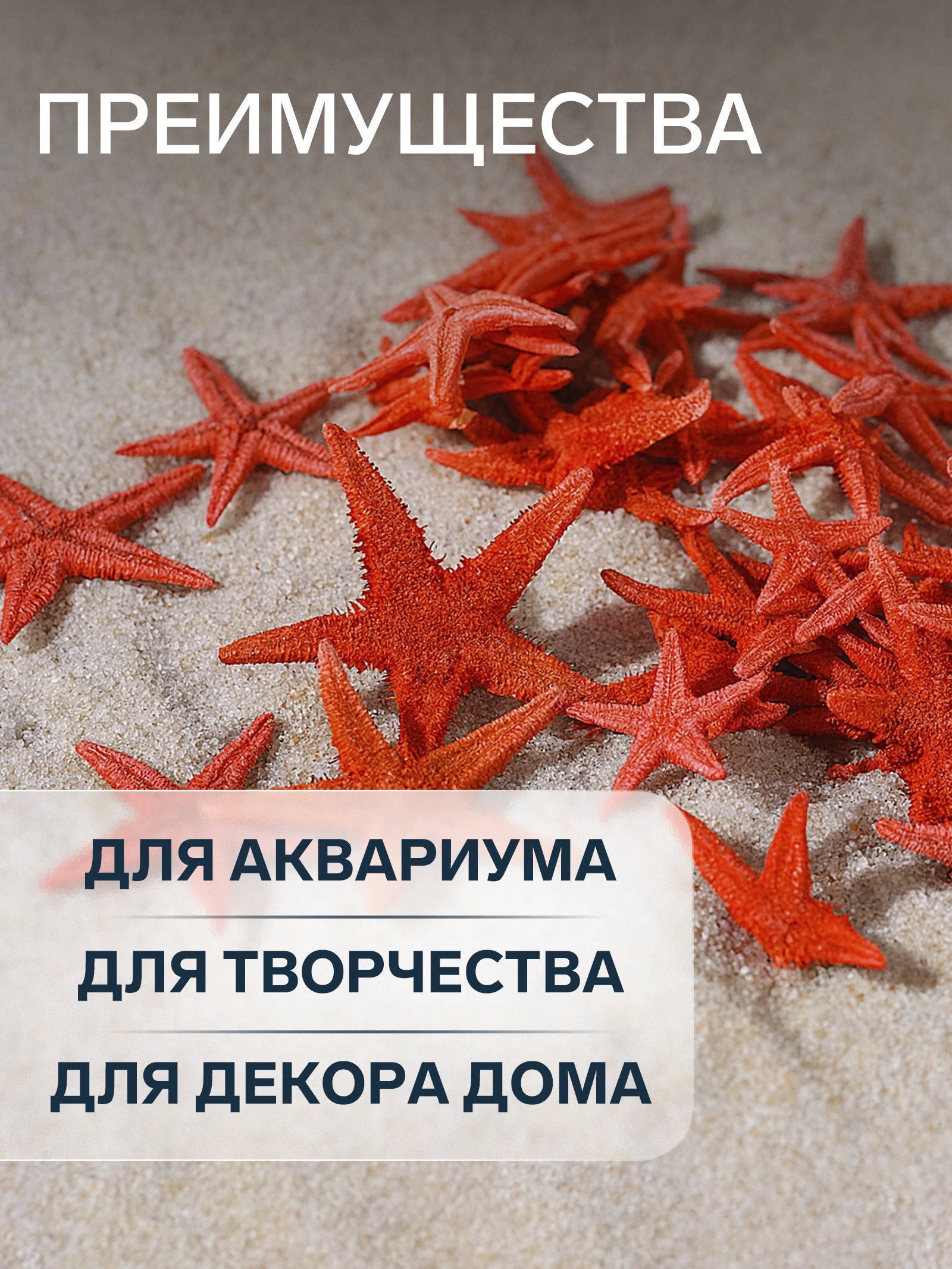 Набор натуральных морских звезд 1,5-2см 20шт, красный арт.1250568 по цене 