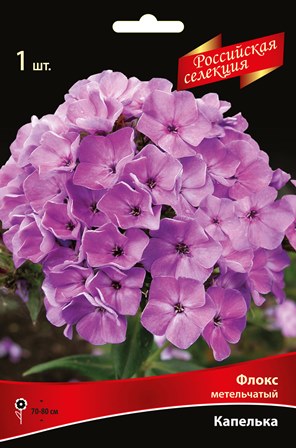 Флокс метельчатый "Российская селекция" Капелька I 1шт Поиск 