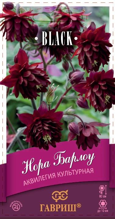 Семена аквилегия Нора Барлоу, культурная 7шт Гавриш 
