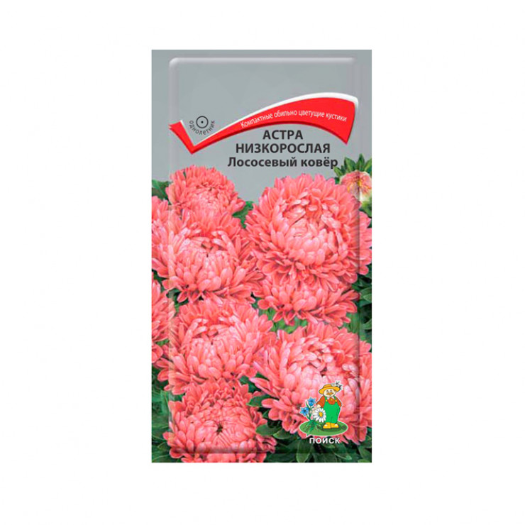 Семена Астра низкорослая Лососевый ковер 0,2г Поиск 
