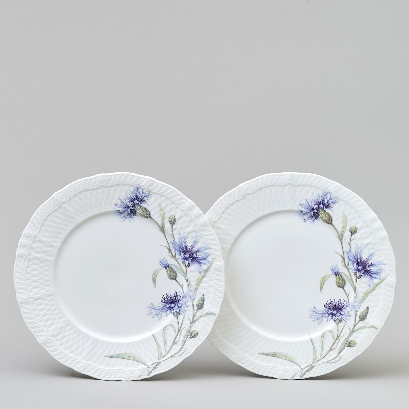 Набор тарелок закусочных Лефард Васильки 2шт 20,5см, фарфор арт.760-830 по цене 