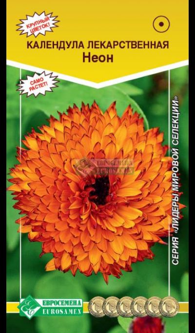 ОсновноеИзображение