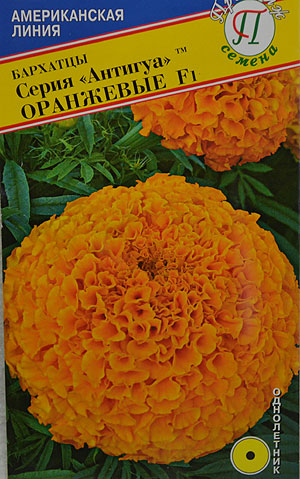 Семена Бархатцы (Тагетес) прям Антигуа F1 оранжевые 5шт Престиж 