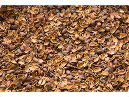 Скорлупа сибирского ореха Колос 50 л по цене 