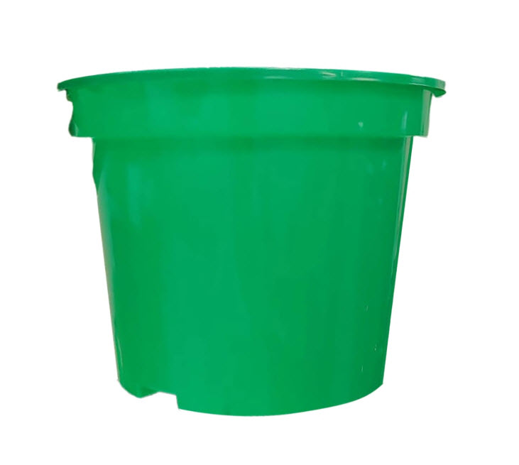 ОсновноеИзображение