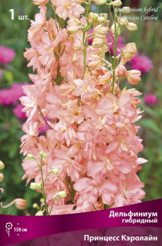 Кореневище Дельфиниум гибридный Принцесс Кэролайн  1шт Поиск 