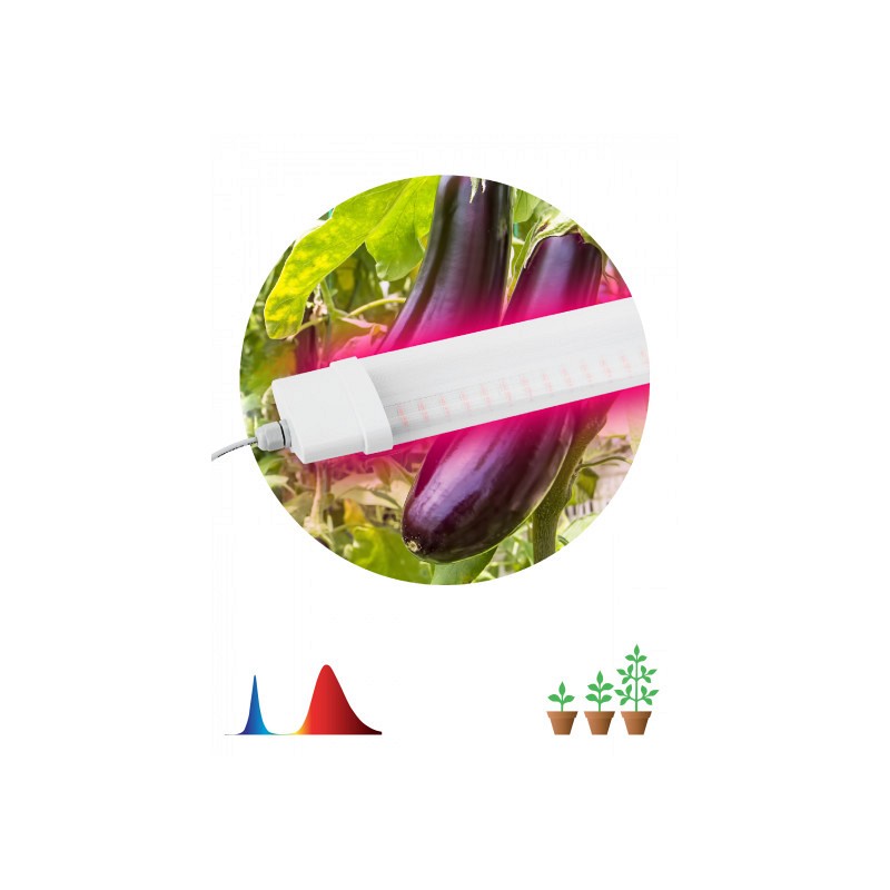 Фитосветильник Эра светодиодный линейный красно-синего спектра 90см 36Вт по цене 