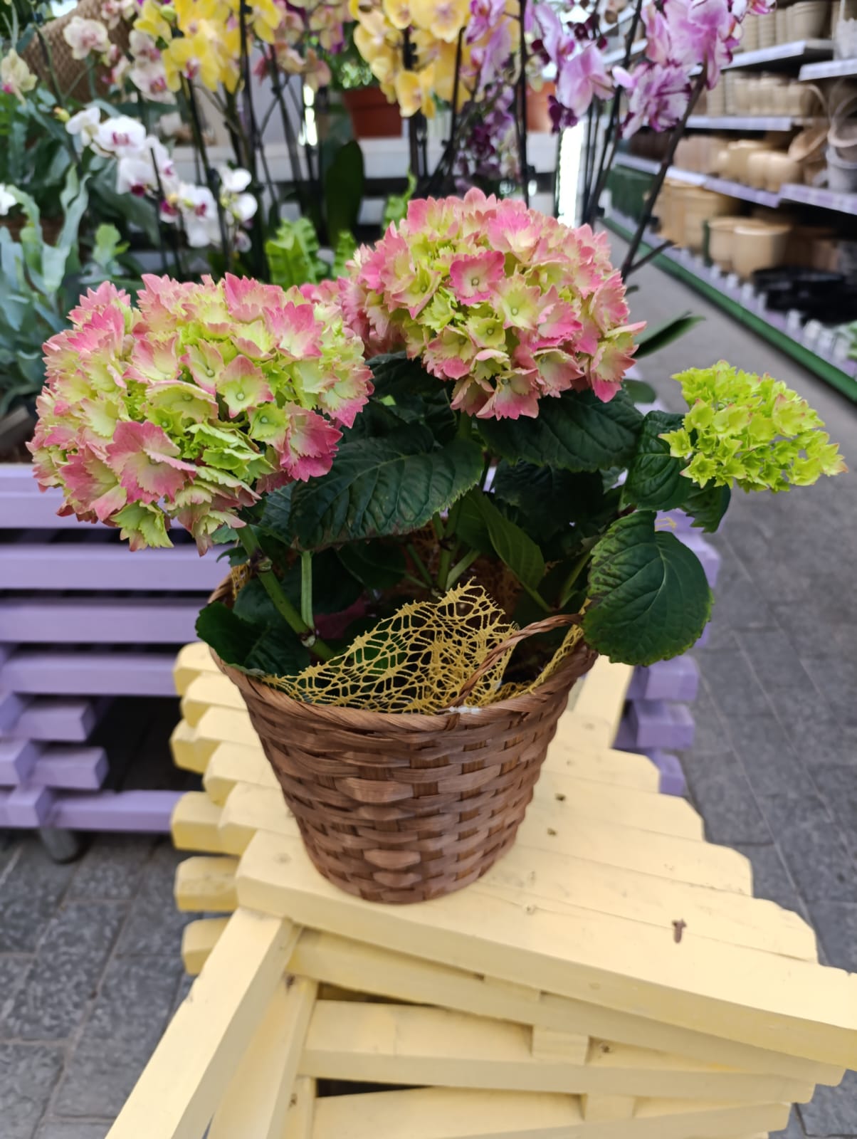 Композиция из цветов 1990 руб 