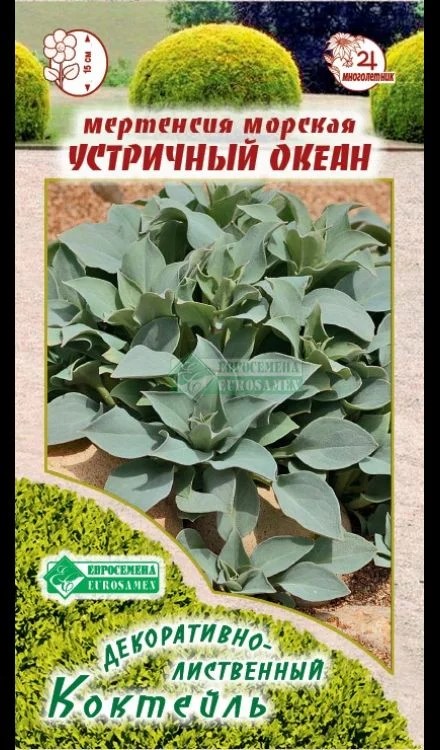 ОсновноеИзображение