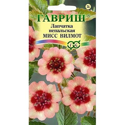 Семена лапчатка непальская Мисс Вильмотт 0,01г Гавриш 