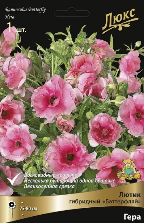 Луковица Лютик серия Баттерфляй Гера 1шт. Поиск 