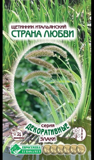 ОсновноеИзображение