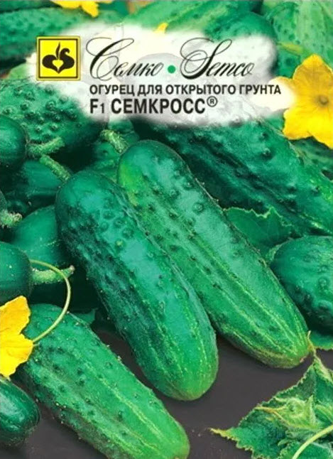 Семена Огурец пчелоопыляемый Семкросс F1  1 г Семко 