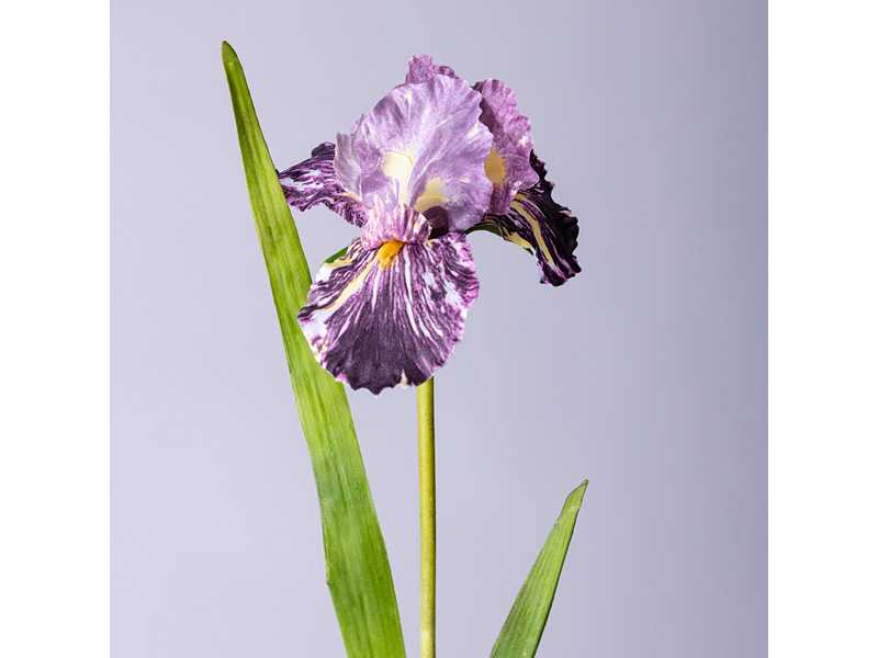 Цветок искусственный Ирис 95см, арт.287-501 по цене 
