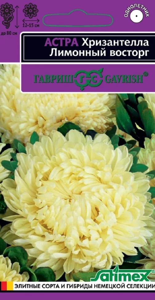 Семена Астра Хризантелла Лимонный восторг (хризантемовидная) 0,05 г   Гавриш 