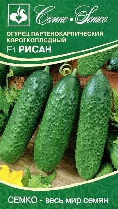 Семена Огурец партенокарпический Рисан F1 5 шт Семко 