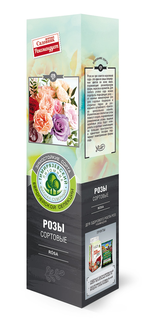 Роза сортовая в ассортименте v3-5 Sav 