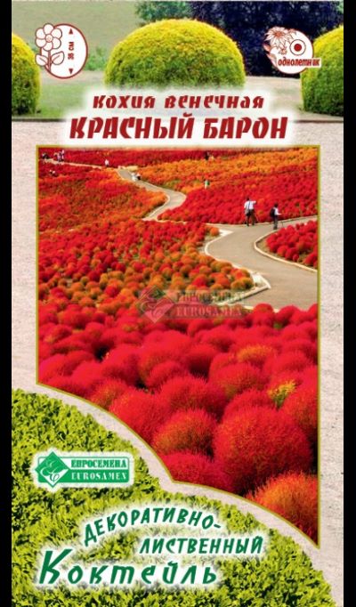 ОсновноеИзображение