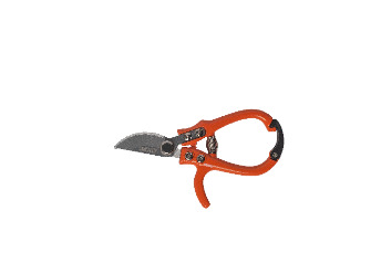 ОсновноеИзображение